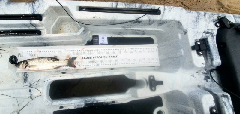 Fish Measure Picture
