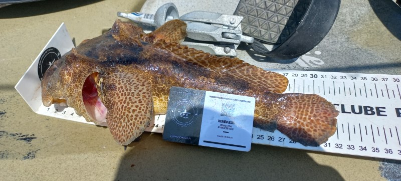 Fish Measure Picture