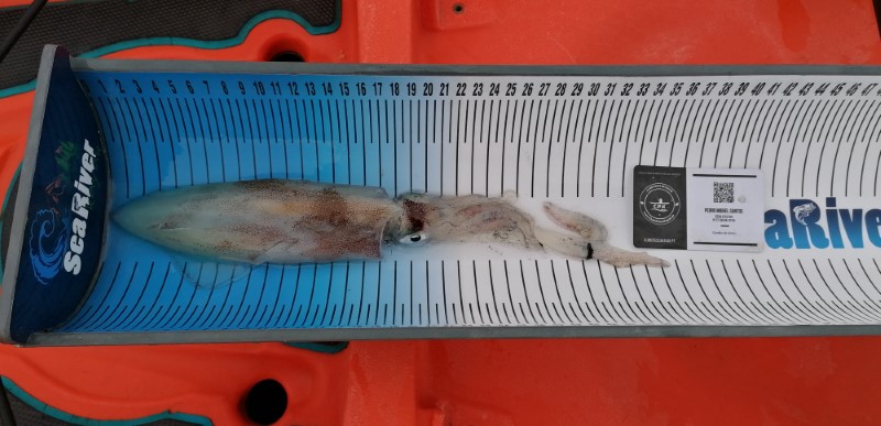 Fish Measure Picture
