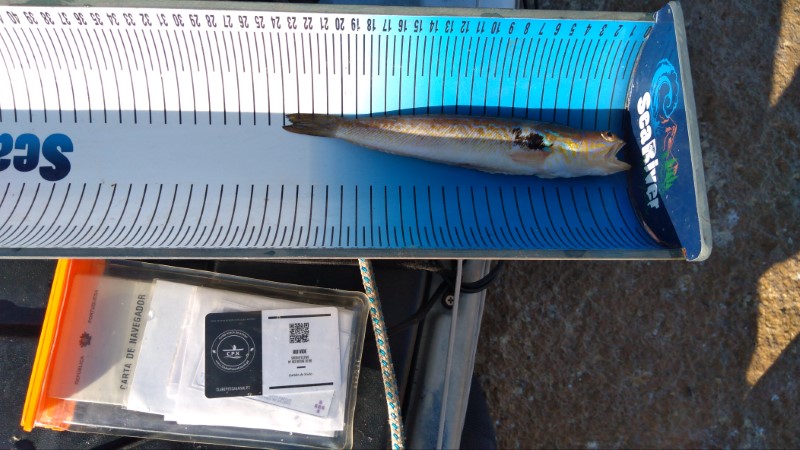 Fish Measure Picture