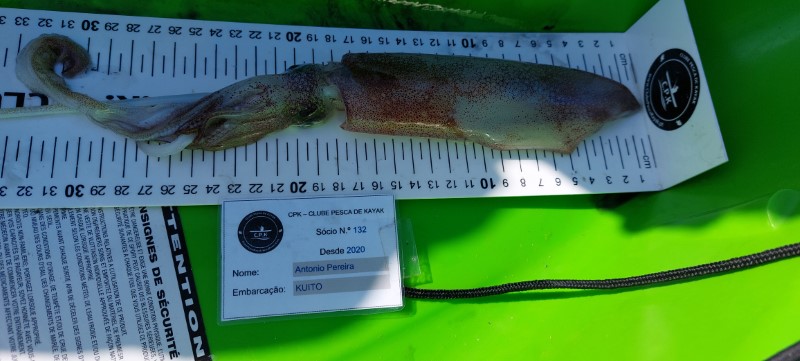Fish Measure Picture