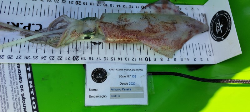Fish Measure Picture