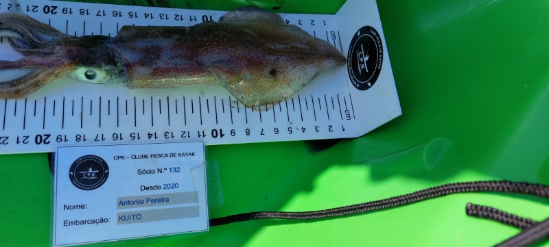 Fish Measure Picture