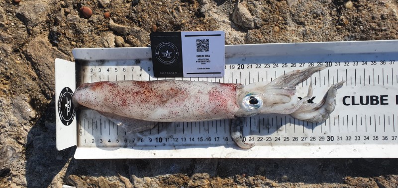 Fish Measure Picture