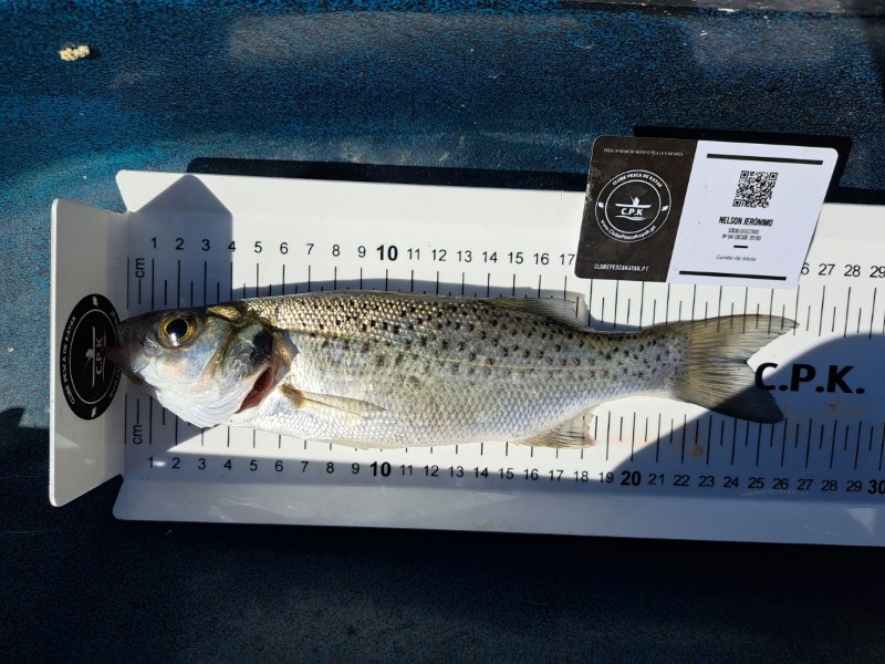 Fish Measure Picture