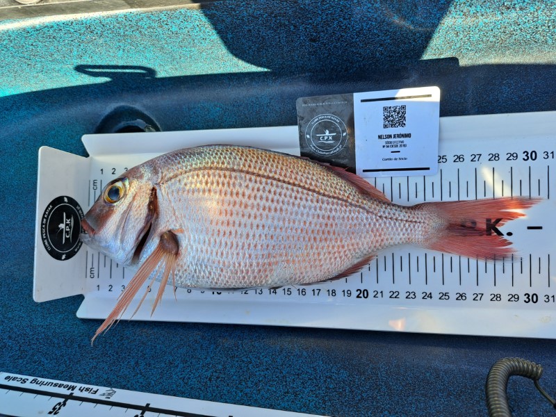 Fish Measure Picture
