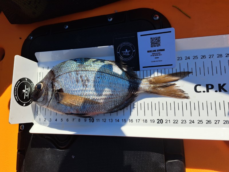 Fish Measure Picture