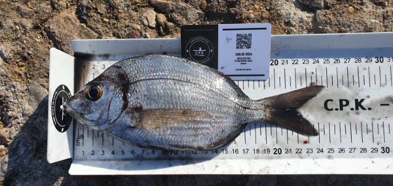 Fish Measure Picture