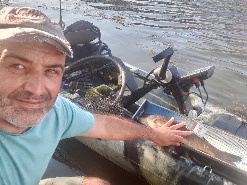 Fish Profile Picture