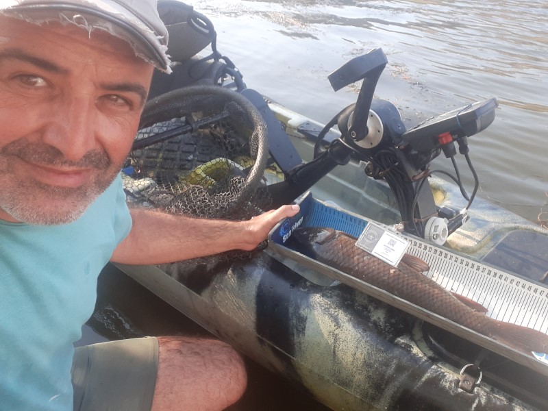 Fish Profile Picture