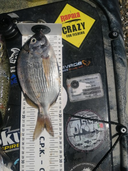 Fish Measure Picture