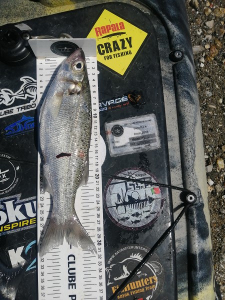 Fish Measure Picture