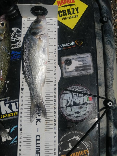 Fish Measure Picture