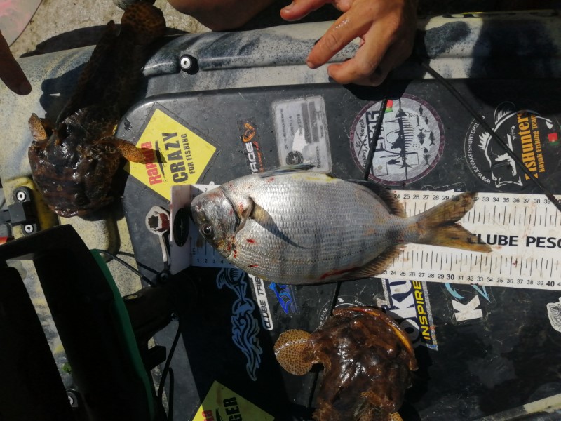 Fish Measure Picture