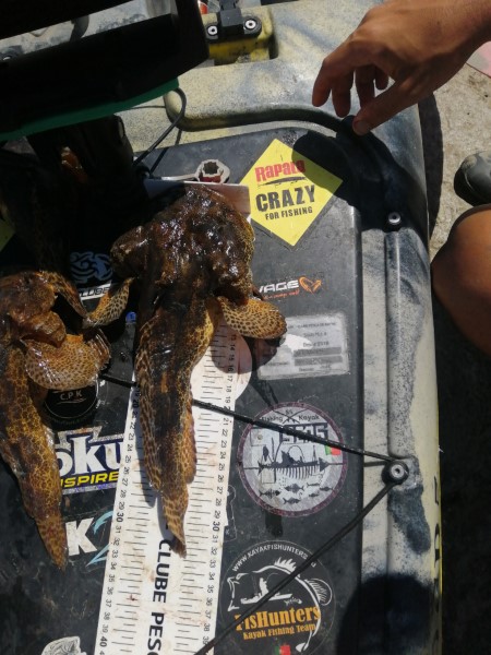 Fish Measure Picture