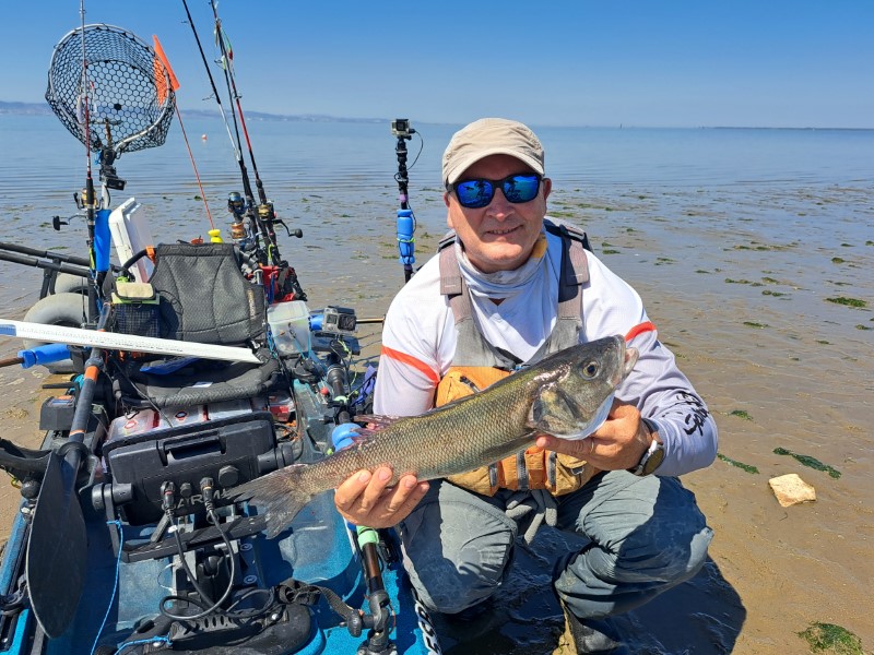 Fish Profile Picture