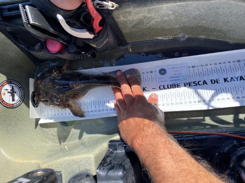 Fish Measure Picture