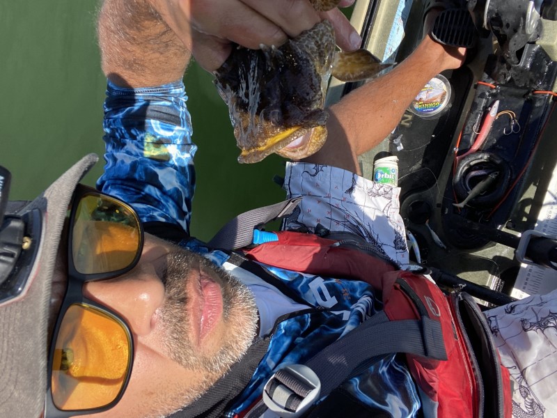 Fish Profile Picture