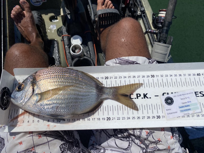 Fish Measure Picture