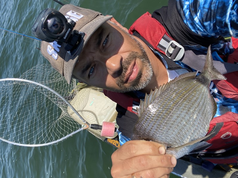 Fish Profile Picture