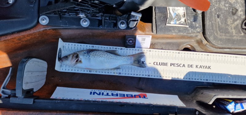 Fish Measure Picture