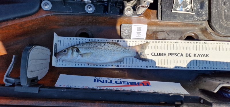 Fish Measure Picture
