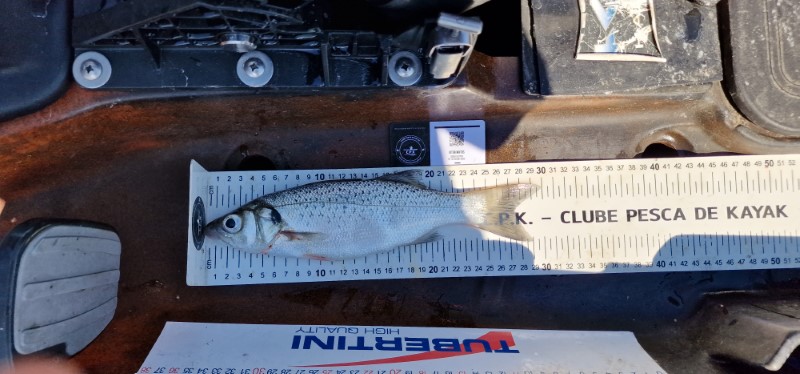 Fish Measure Picture