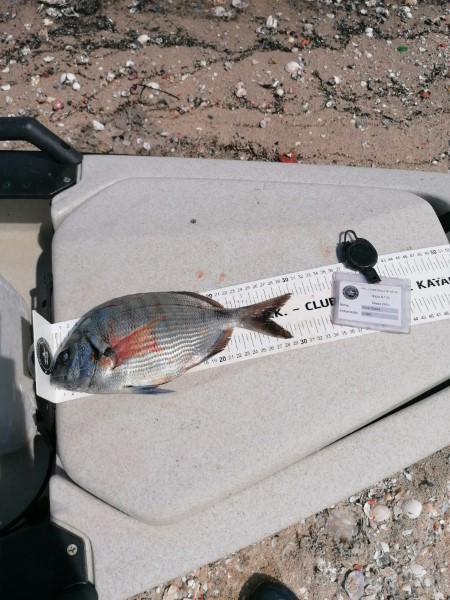 Fish Measure Picture