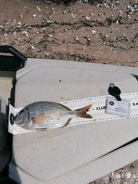 Fish Measure Picture