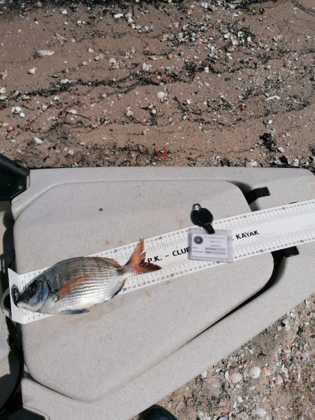 Fish Measure Picture