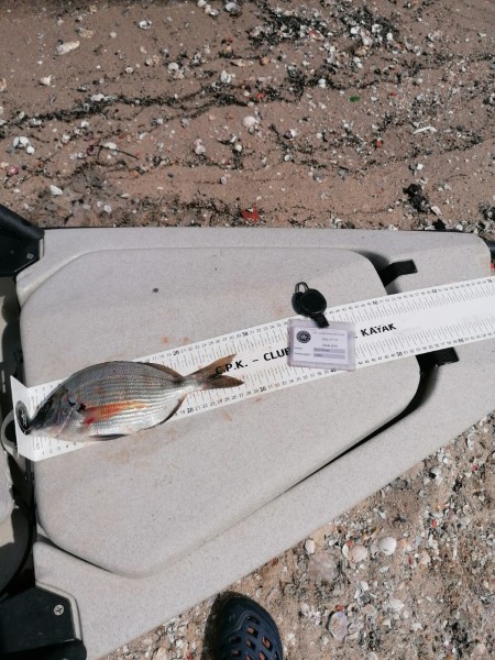 Fish Measure Picture