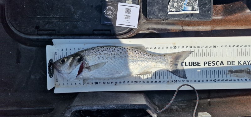 Fish Measure Picture