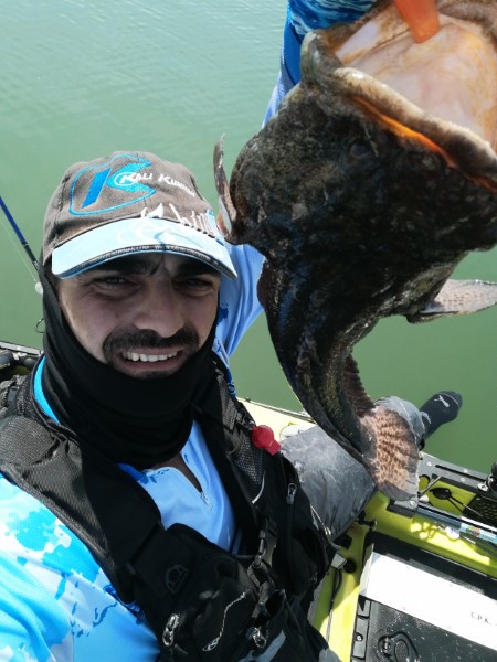 Fish Profile Picture