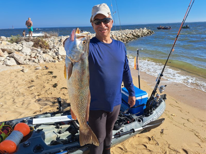 Fish Profile Picture