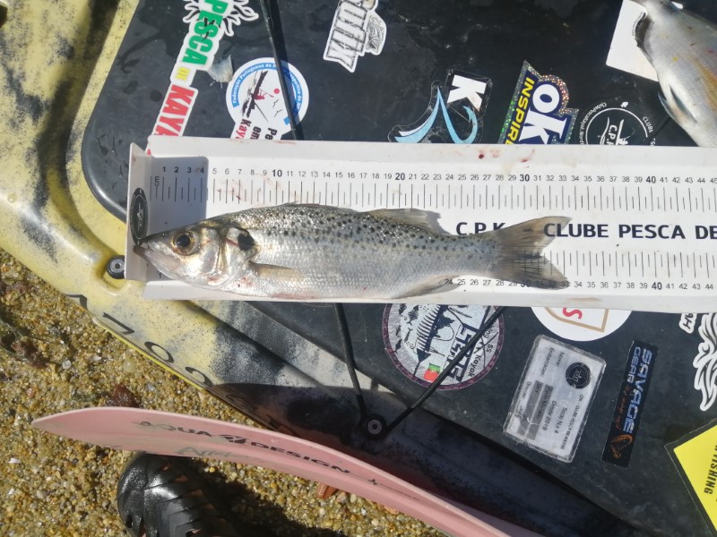 Fish Measure Picture