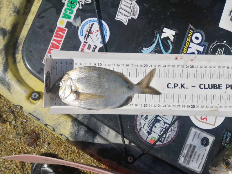 Fish Measure Picture