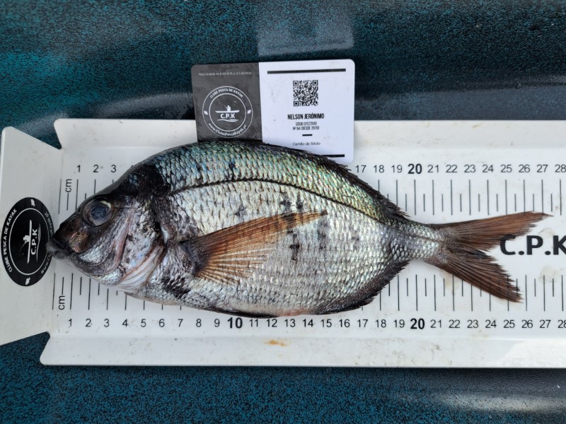 Fish Measure Picture