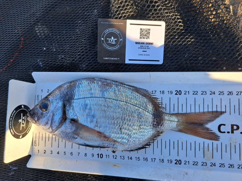 Fish Measure Picture
