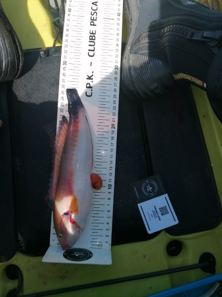Fish Measure Picture