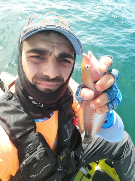 Fish Profile Picture