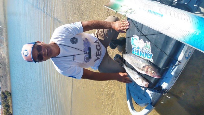 Fish Profile Picture