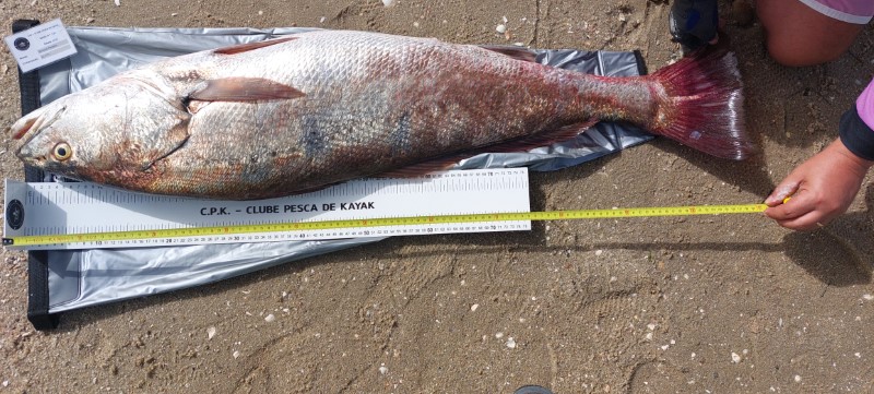 Fish Measure Picture