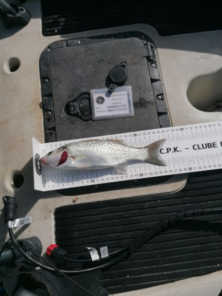 Fish Measure Picture
