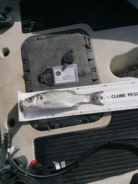 Fish Measure Picture