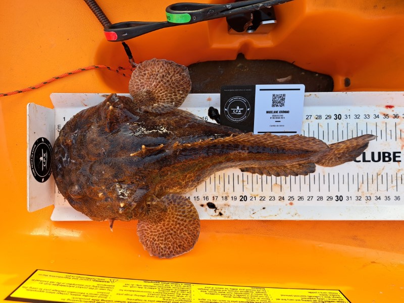 Fish Measure Picture