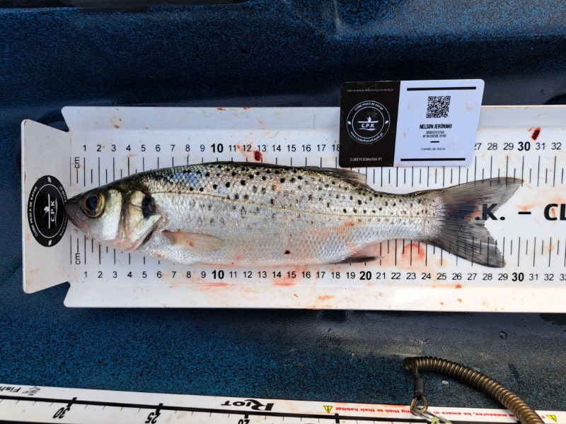 Fish Measure Picture