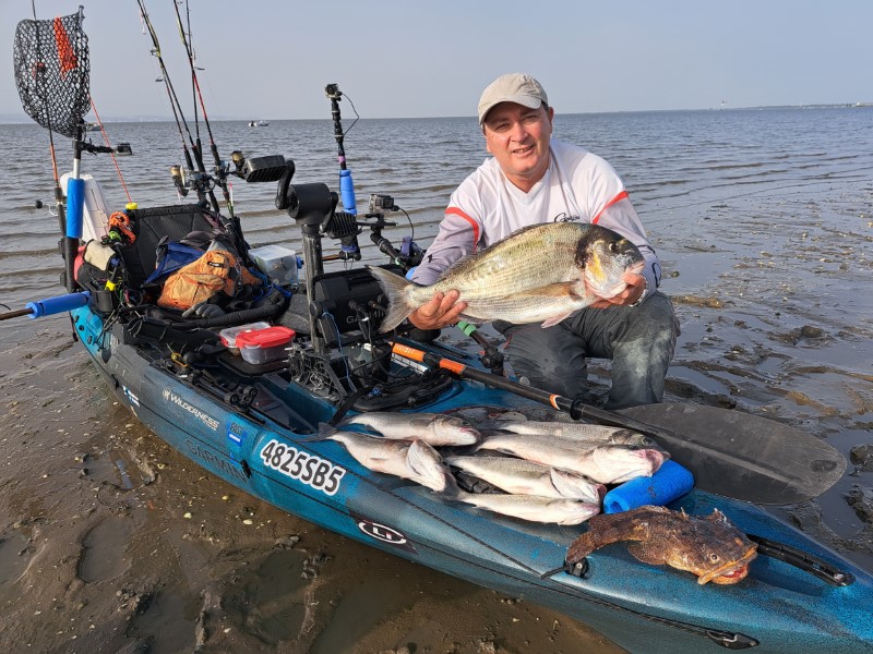 Fish Profile Picture