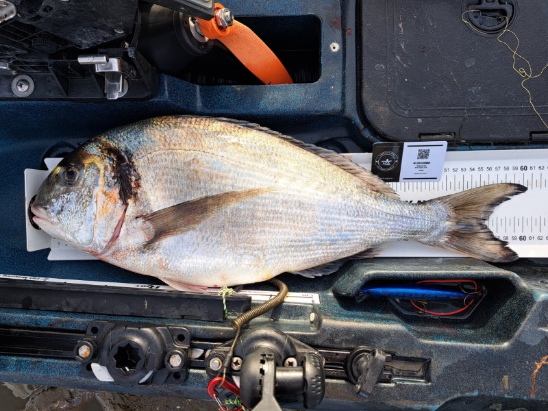 Fish Measure Picture