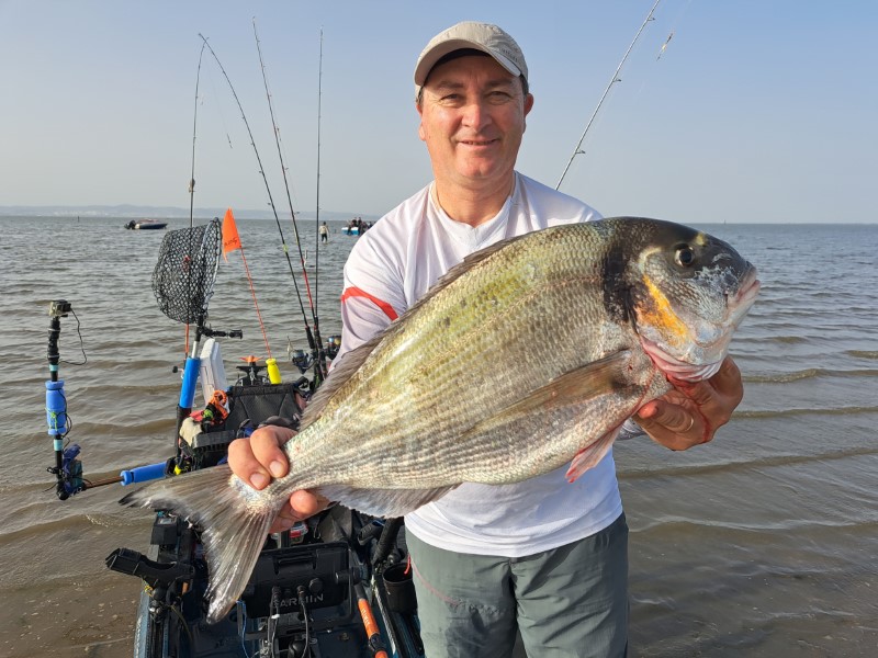 Fish Profile Picture