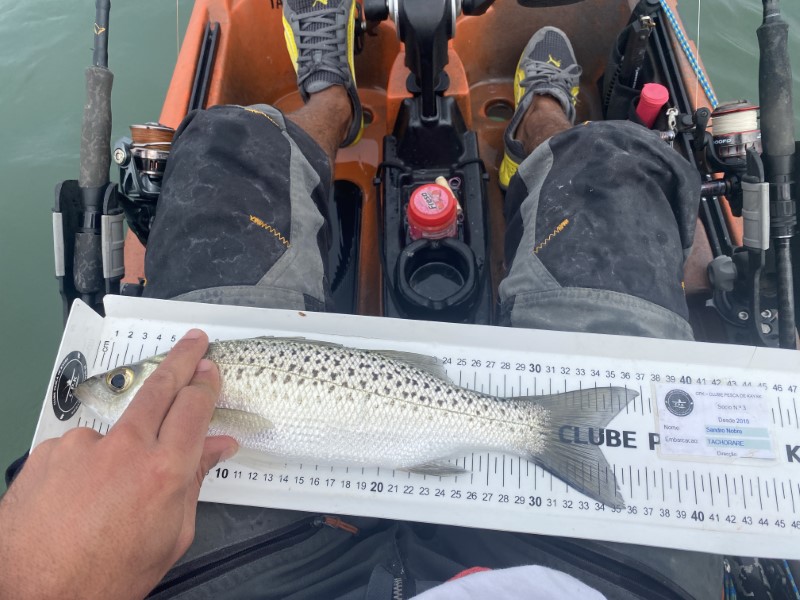 Fish Measure Picture